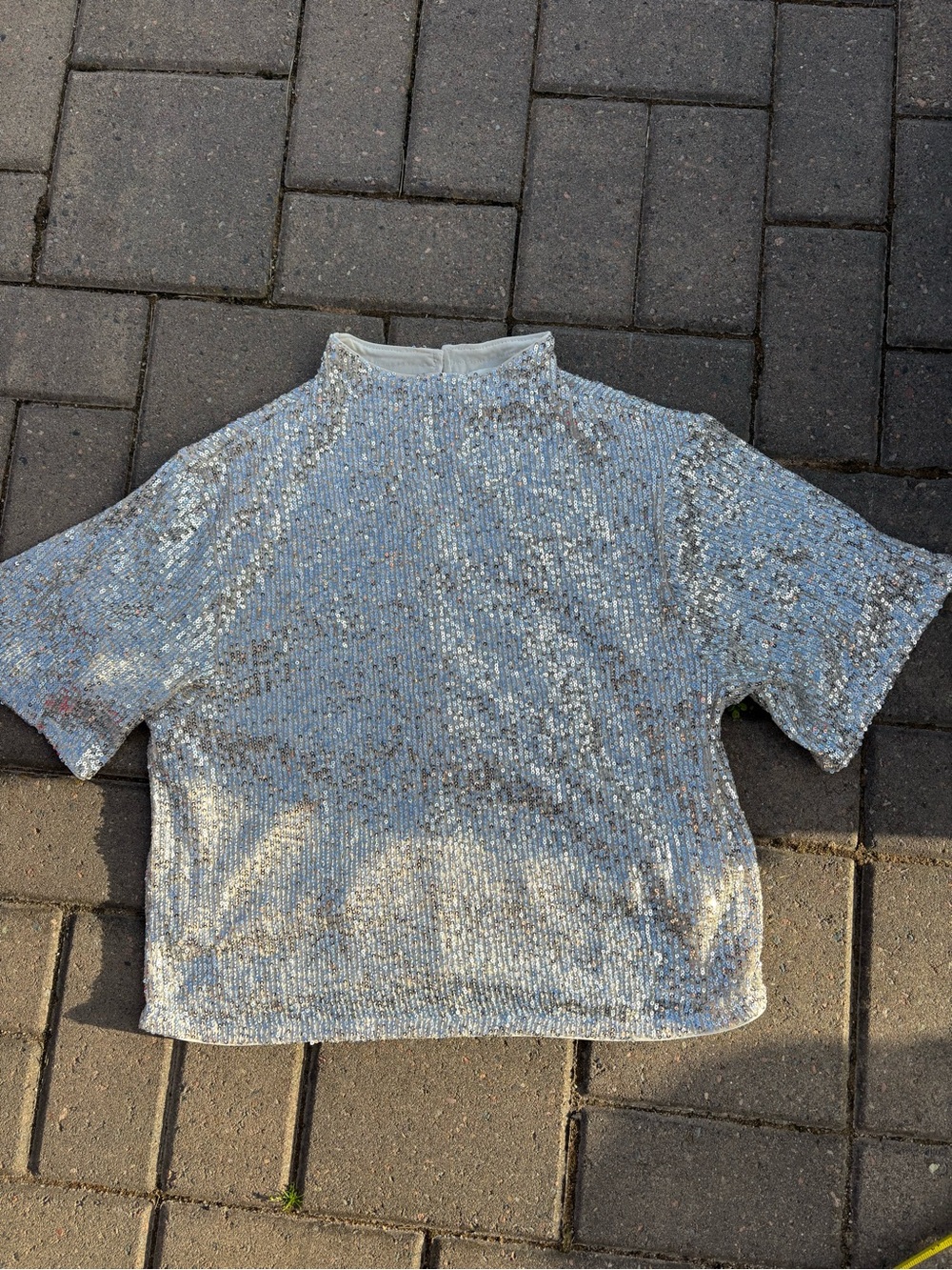 H&M Silver Sequin Short-Sleeve Mock Neck Crop Top